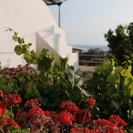 Aurea Blu 07, Warmth, Sun, Nature And Sea Appartement *